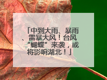 中到大雨、暴雨、雷暴大风！台风“蝴蝶”来袭，或将影响湖北！